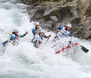 Indomite in gara 2014